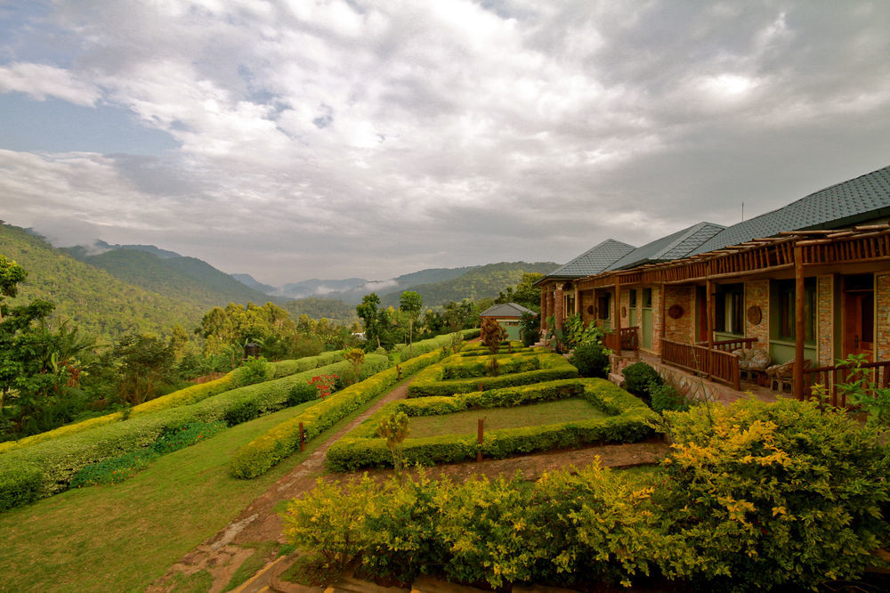 Silverback Lodge Buhoma Eksteriør billede