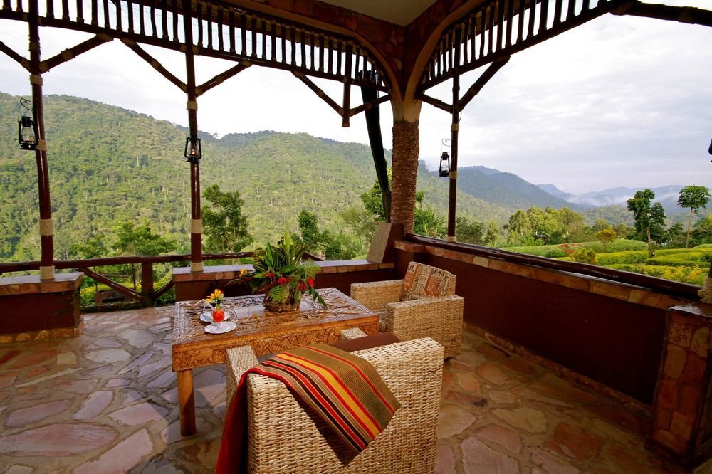Silverback Lodge Buhoma Eksteriør billede